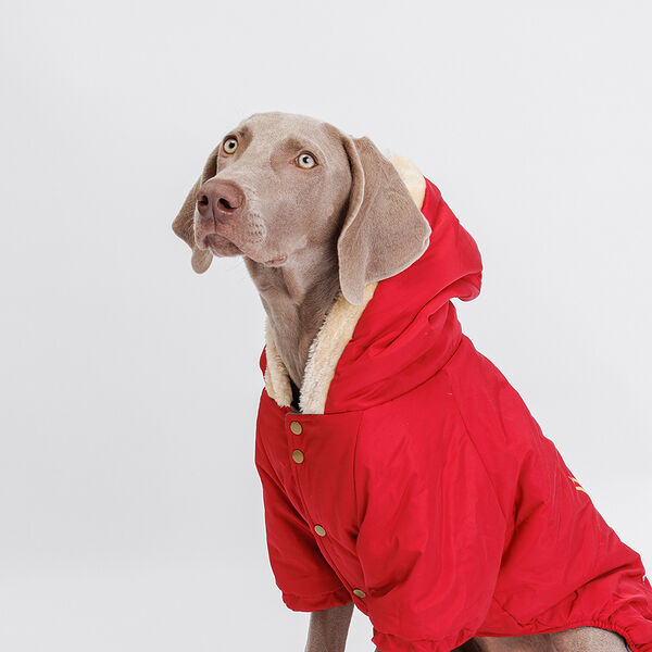 Комбинезон с оленем для собак, 3XL, красный