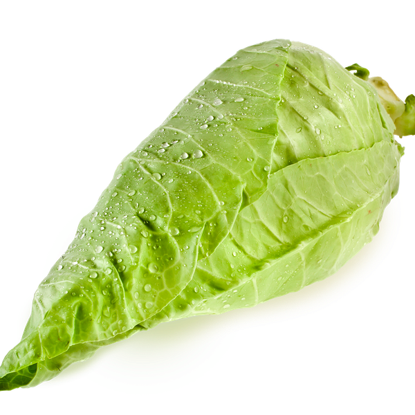 Капуста  Шпиц вес. до 1.0 кг