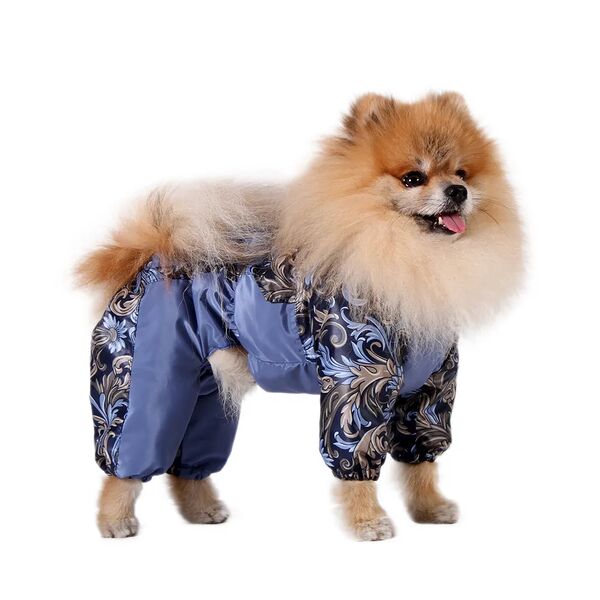 Комбинезон холодный для собак Шпиц M (девочка)