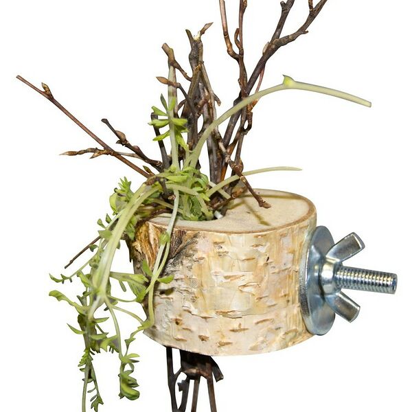 ParrotsLab PL2043 держатель веточек для птиц и грызунов 4 см.