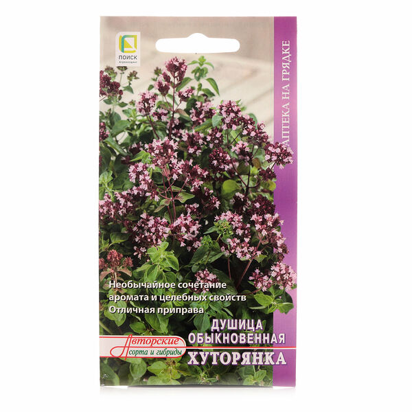 Душица обыкновенная хуторянка ТМ Поиск агрохолдинг