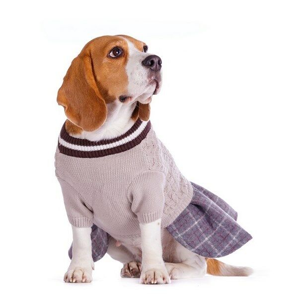 Свитер с юбкой для собак 36см XL серый (унисекс)