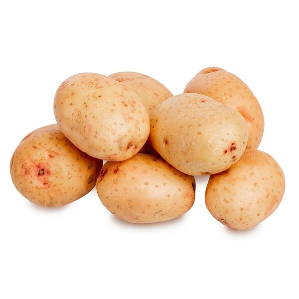 Картофель Синеглазка Россия