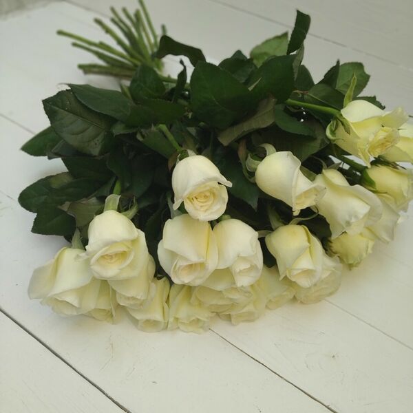 15 белых роз