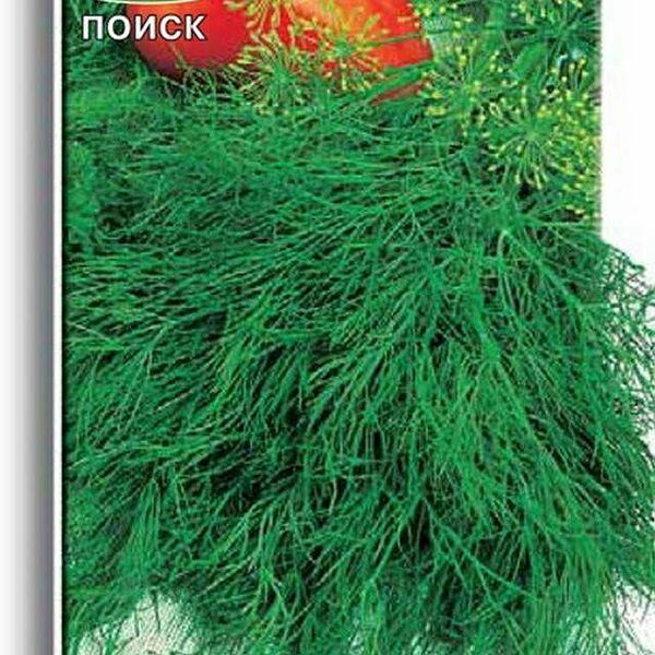 Семена Поиск Укроп Обильнолистый