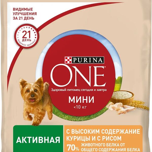 Корм для собак PURINA ONE Mini для активных, с курицей и рисом сухой 600г