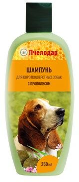 Шампунь Пчелодар с прополисом для короткошерстных собак