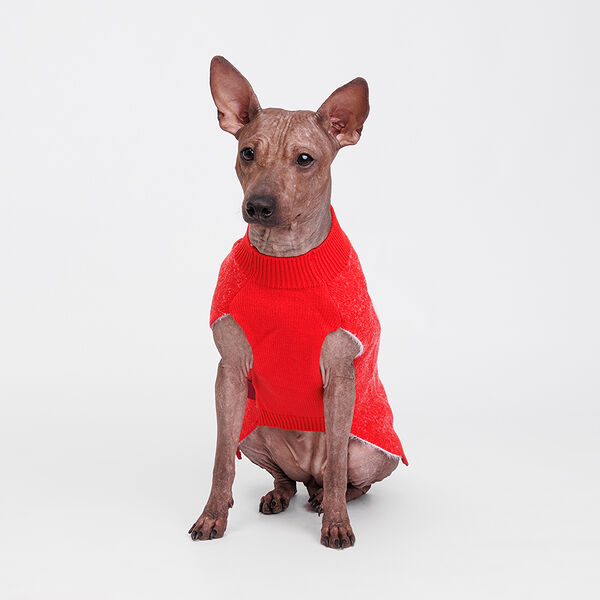 Свитер для собак Merry Christmas, XL, 36 см, красный