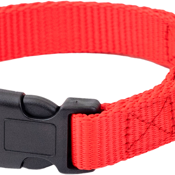 Ошейник для собак Petsburg синтетик 2*31-45см