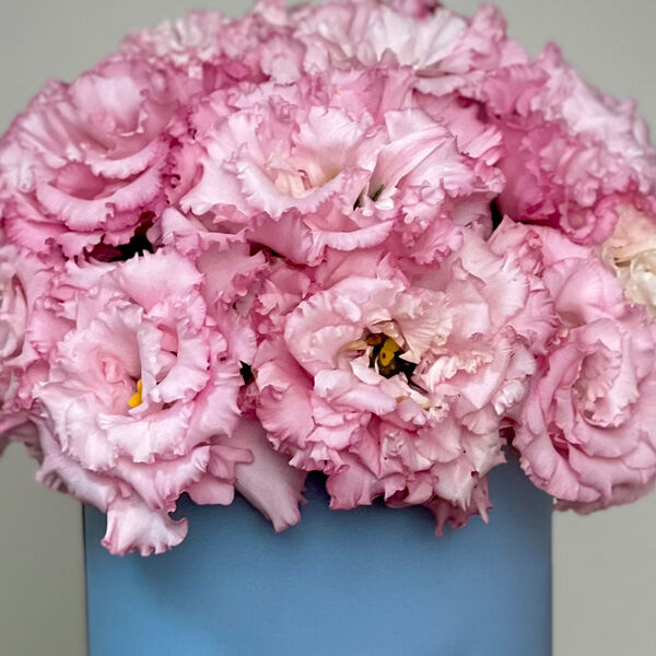 Розовая эустома в шляпной коробке XS