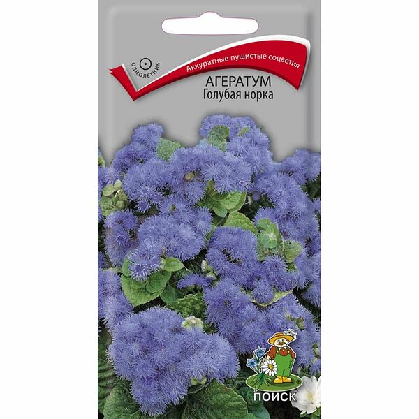 Семена Поиск Цветные пакеты Агератум Голубая норка