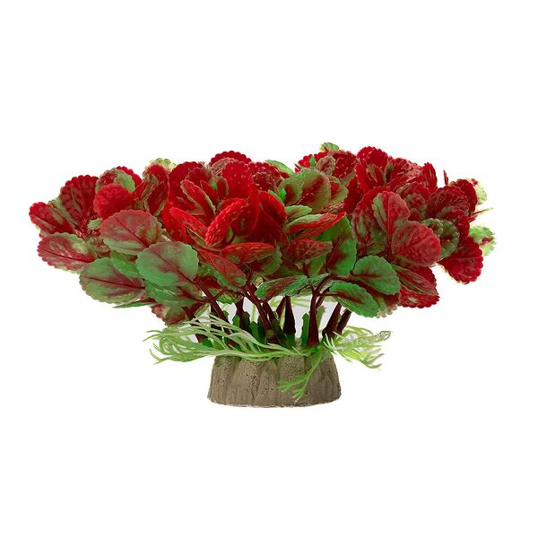 Растение красное 10*10*12см 092-056A