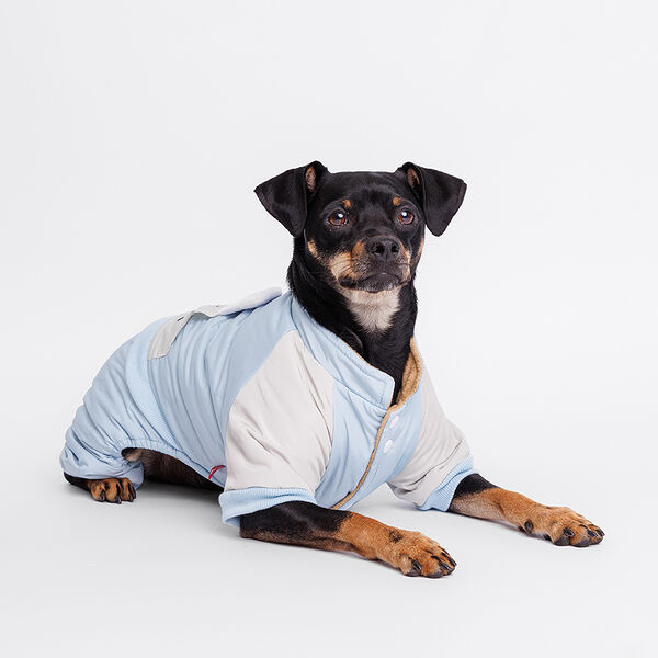 Комбинезон для собак Ушки, XL, голубой