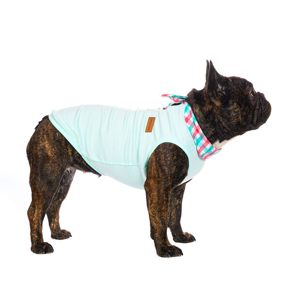Футболка с галстуком для собак XL бирюзовый (унисекс)