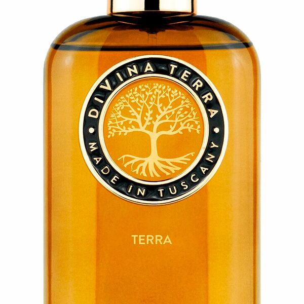 Духи нишевые DiVina Terra Terra 100 мл