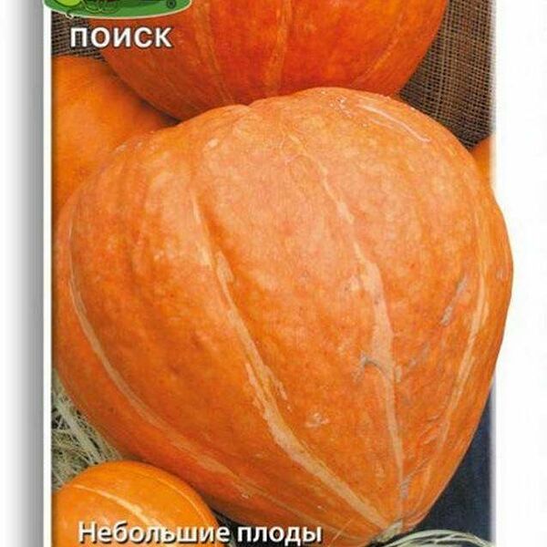 Семена Тыква Россиянка 10 шт ТМ Поиск