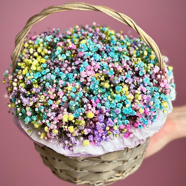 Цветная гипсофила в корзине XS