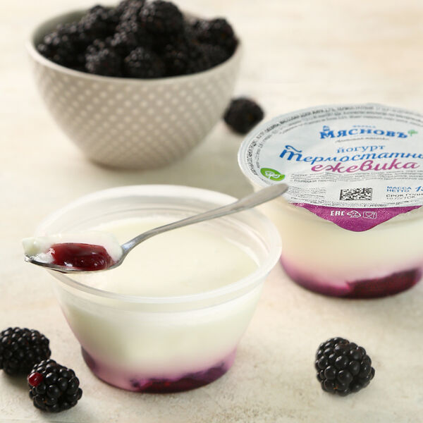 Йогурт термостатный ежевика 2,7% МясновЪ Ферма от КуулКлевер