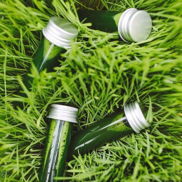 Свежевыжатый ШОТ Витграс 30 мл