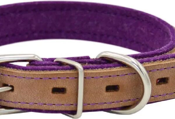 Zooexpress Ошейник для собак Suomi line 1сл 20 мм длина 30-38 см бежев/фиолет
