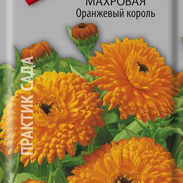Семена календула Оранжевая королева ТМ Поиск