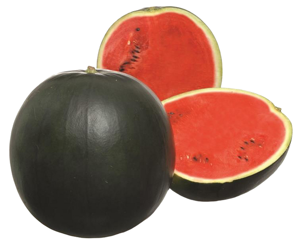 Арбуз Чёрный принц с низким количеством семян вес