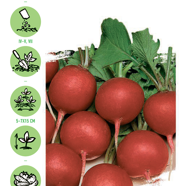 Семена УДАЧНЫЕ СЕМЕНА Редис Жара, 3г