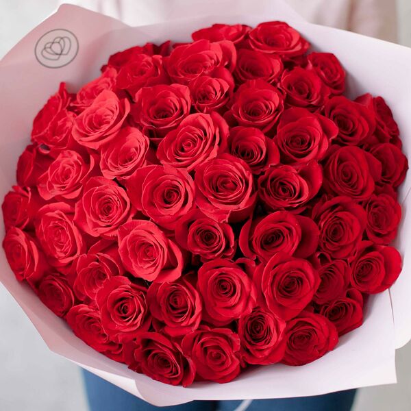 Букет из 51 красной розы Freedom 50 см (Эквадор) в розовой пленке
