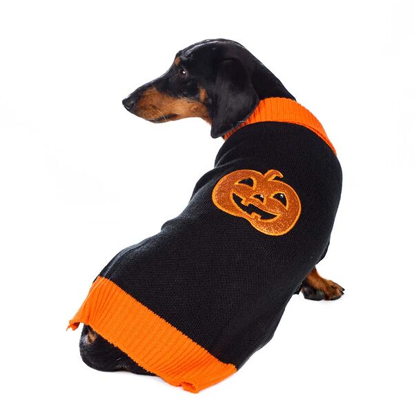 Свитер светящийся Led для собак XS черный (унисекс)