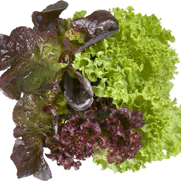 Салат Московский Саланова Эксклюзив трио микс