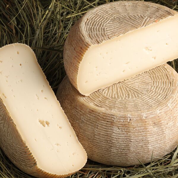 Манчего козий