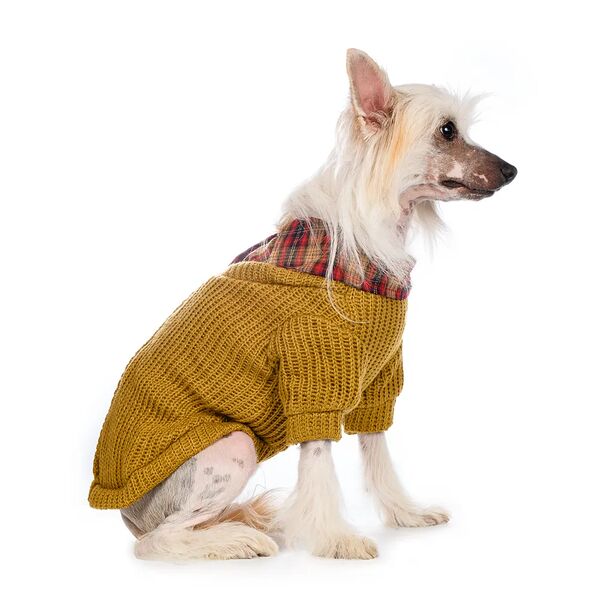 Свитер с пуговицами для собак XL желтый (унисекс)