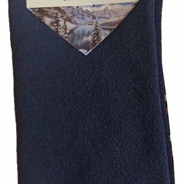 Носки мужские ХОХ махровые XZ-3R14 темно-синие, р 27