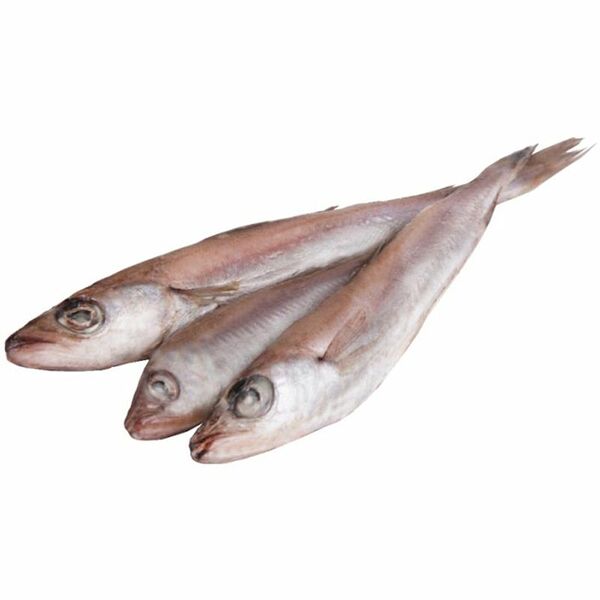 Путассу неразделанная, мороженая