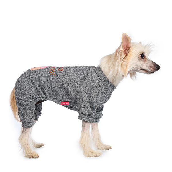 Костюм для собак 2XL серый (унисекс)