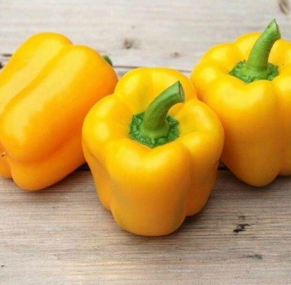 Болгарский перец желтый (Danilovskymarket)