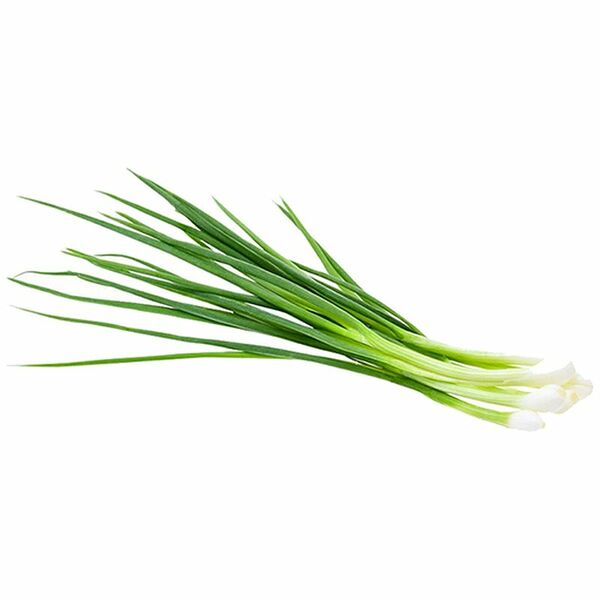 Лук зеленый свежий 
