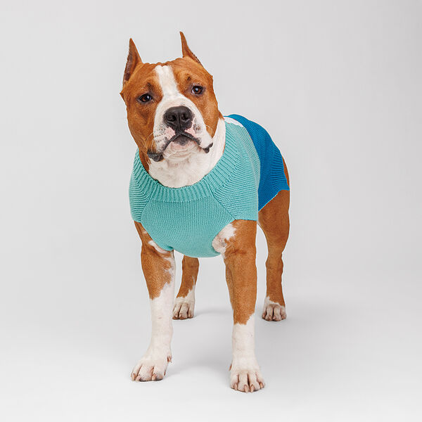 Свитер для собак Снеговик, 4XL, 51 см, сине-зеленый