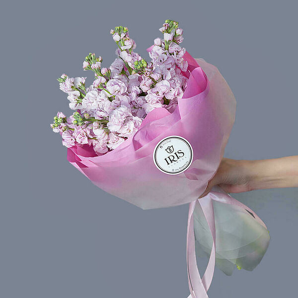 Монобукет Маттиола розовая 7 шт