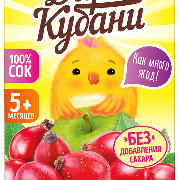 Сок фруктово-ягодный ДАРЫ КУБАНИ Яблоко и шиповник, с 5 месяцев, 125мл