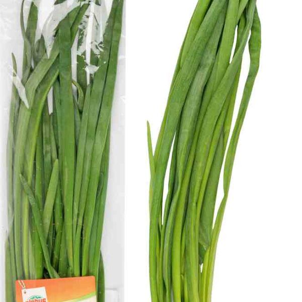 Лук зелёный Глобус