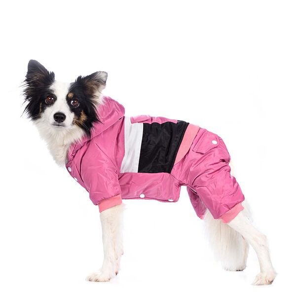 Комбинезон с капюшоном для собак (девочка)