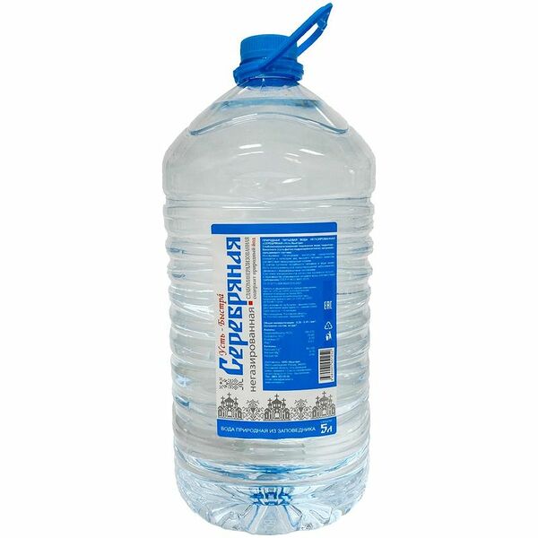 Вода Серебряная Усть-Быстра природная питьевая столовая негазированная, 5л