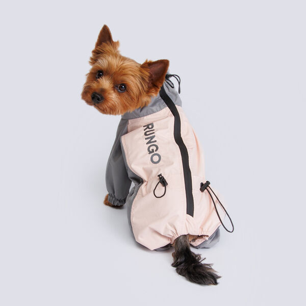 Дождевик с мембраной и водонепроницаемой застежкой для йорка и чихуа, M, бежевый (мальчик)
