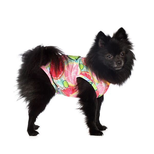 Футболка для собак с фруктами L мятный (унисекс)