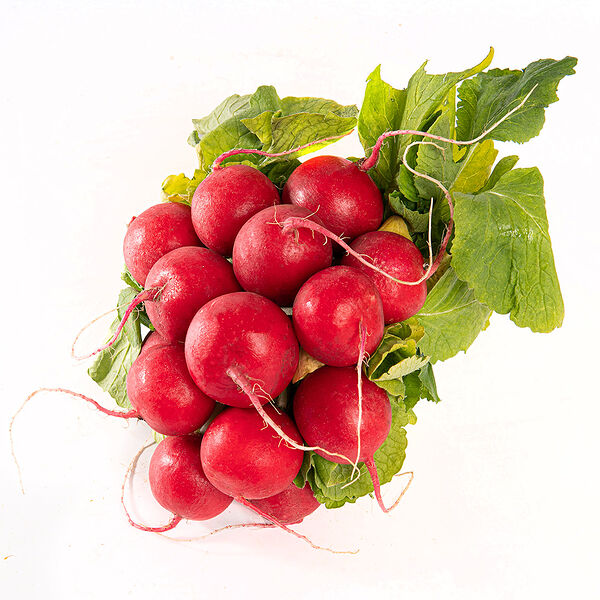 Редис красный в пучках