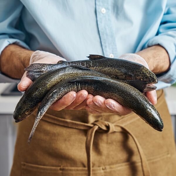 Форель охлажденная 0.3-0.5кг