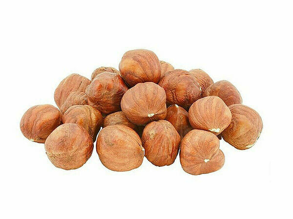 Фундук ядро