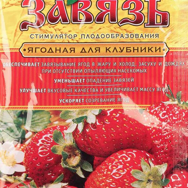 Стимулятор плодообразования для клубники Ортон Завязь