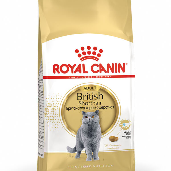 38 Adult Корм Royal Canin сухой для кошек породы Британская короткошерстная